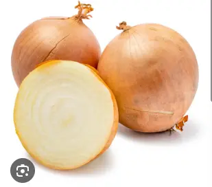 [L-98] 白洋葱 ONIGNON BLANC 10KG