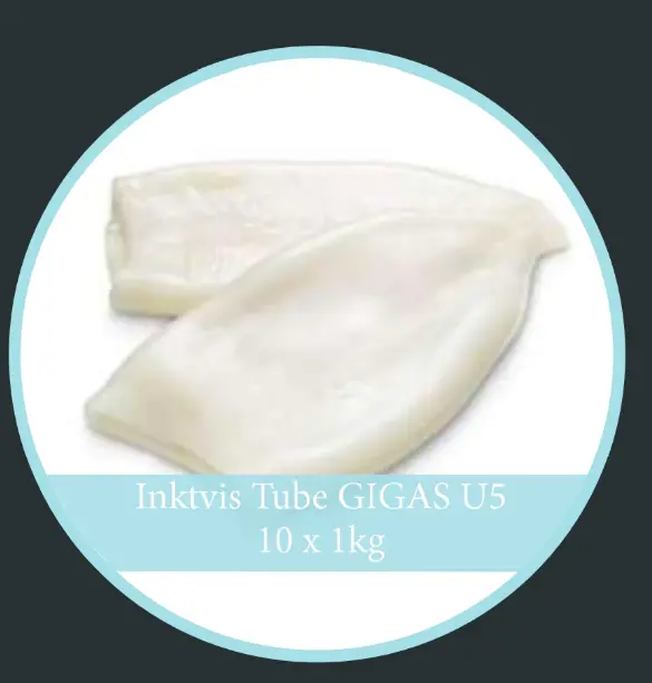 鱿鱼桶 Inktvis Tube GIGAS China U5 70%(10 x1kg) - per doos